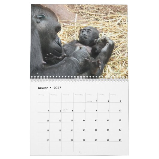 Gorillas als Kalender カレンダー (1月 2027)
