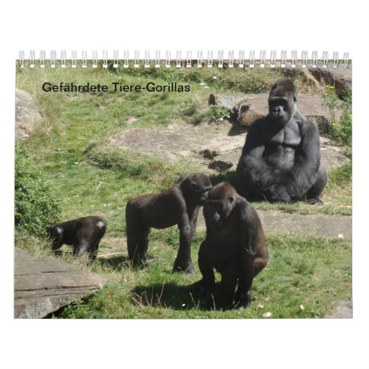 Gorillas als Kalender カレンダー (カバー)