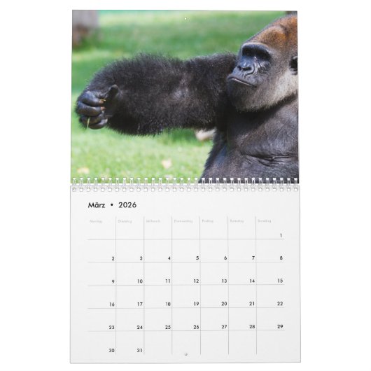 Gorillas als Kalender カレンダー (3月 2026)