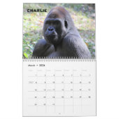 Gorillas of Zoo Atlanta 2023 Calendar カレンダー (3月 2026)
