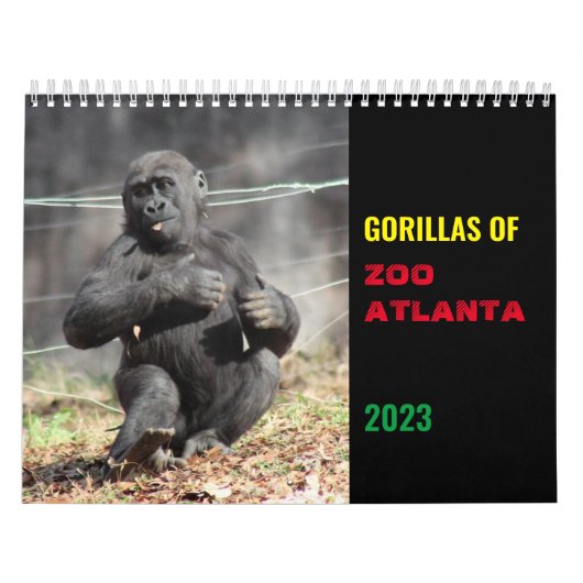 Gorillas of Zoo Atlanta 2023 Calendar カレンダー (カバー)
