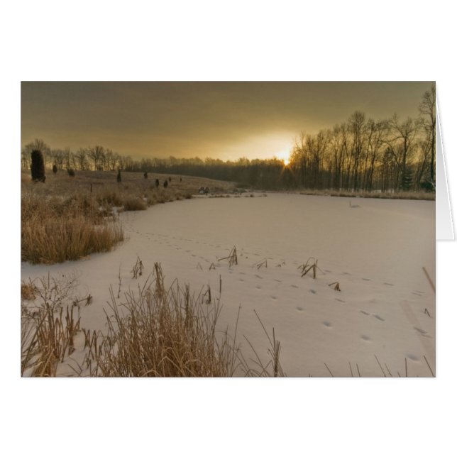 Gormanの冬の日の出 (正面横)