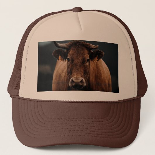 Gorra vaca キャップ (正面)