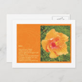 Gorse ポストカード (正面/裏面)