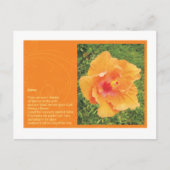 Gorse ポストカード (正面)