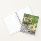 Goslingsフォトノートブック ノートブック (内部)