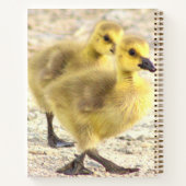 Goslingsフォトノートブック ノートブック (裏面)