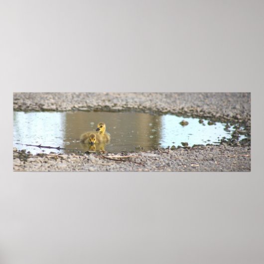 Goslingsフォトポスター ポスター (正面)