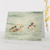 Goslings Baby Geese Big Note Card カード (黄色い花)