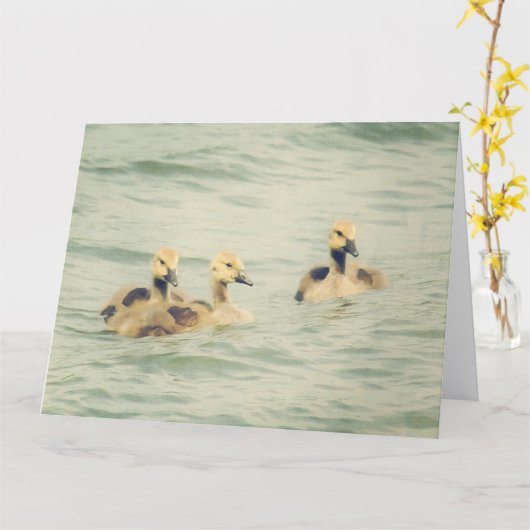 Goslings Baby Geese Big Note Card カード (黄色い花)