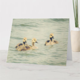 Goslings Baby Geese Big Note Card カード