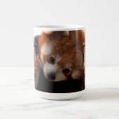 GOT House Ailurus Creature Mug コーヒーマグカップ (中央)