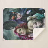 Gotham City Sirens #1000 Comic Cover Variant シェルパブランケット (正面(横))