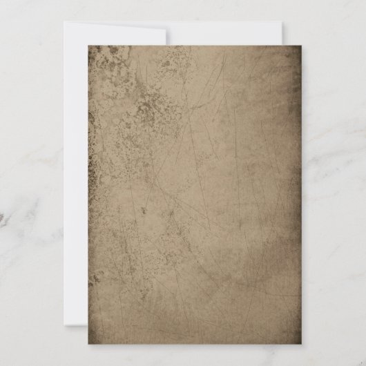 Gothic Black Skull Antique Baby Shower Invitation 招待状 (裏面)