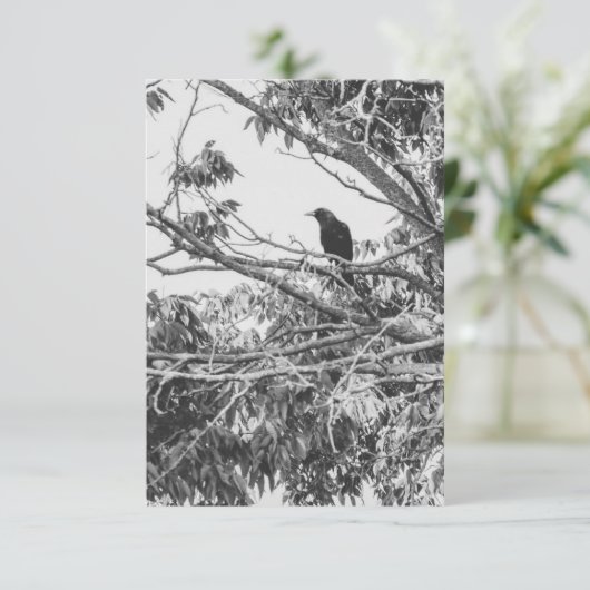 Gothic Raven Postcard 招待状 (スタンド正面)