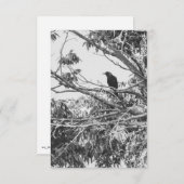 Gothic Raven Postcard 招待状 (正面/裏面)