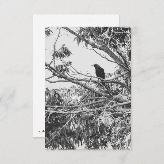 Gothic Raven Postcard 招待状 (正面/裏面)