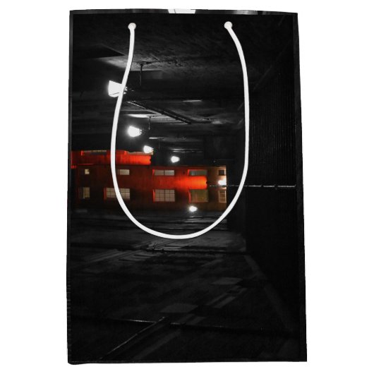 Gothic Staircase ミディアムペーパーバッグ (正面)