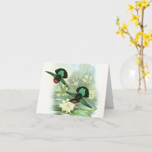 Gouldのハチドリの《植物》スイレンのメッセージカード カード (黄色い花)
