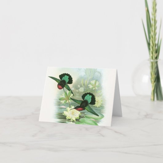 Gouldのハチドリの《植物》スイレンのメッセージカード カード (正面)