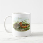 Gould -バー後につかれたGodwit - Limosaのlapponicaの広告宣伝 コーヒーマグカップ (左)