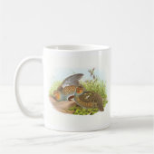 Gould -ヤマウズラ- Perdixのperdixの本屋の広告宣伝 コーヒーマグカップ (左)