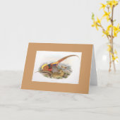 Gould -金キジカード カード (黄色い花)