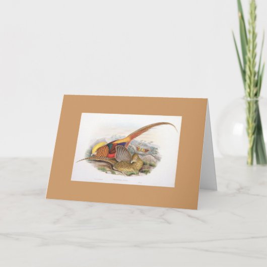 Gould -金キジカード カード (正面)