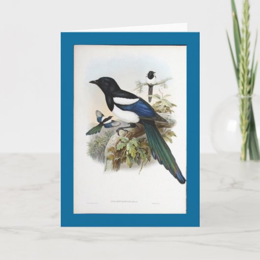 Gould - Bootanのカササギ カード (正面)