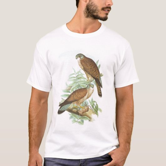 Gould - Kestrel - Falcoのtinnunculus Tシャツ (正面)