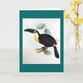Gould - Osculant Toucan カード (黄色い花)