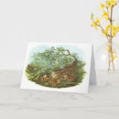 Gould - Woodcock - Scolopaxのrusticola カード (黄色い花)