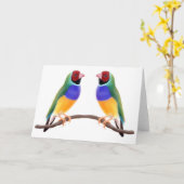 Gouldianのフィンチの友人 カード (黄色い花)