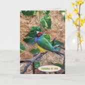 Gouldian Finch on branch for 考える's of you カード (黄色い花)