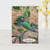 Gouldian Finch on branch for you感謝してい カード (黄色い花)