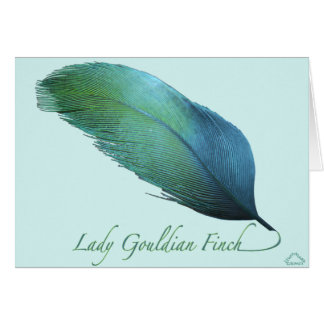 Gouldian Finch Tail女性