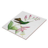 Gouldsのハチドリのタイル タイル (側面)