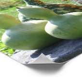Gourds And Pumpkins秋写真の追加 ポスター (角)