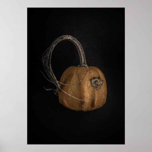 Gourds No 13色版 ポスター (正面)