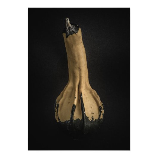 Gourds No 5色版 フォトプリント (正面)