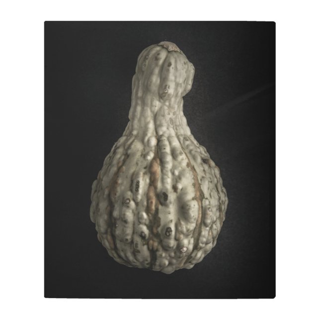 Gourds No 8色版 メタルプリント (正面)