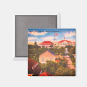 Government House,ナッソー,バハマヴィンテージ写真 マグネット (正面/裏面)