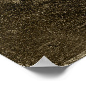 Goya – ブラインドシンガー1820 ポスター (角)