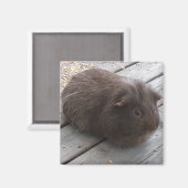 GPマグネット マグネット (正面/裏面)