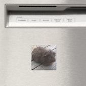 GPマグネット マグネット (インサイチュ (食洗機))