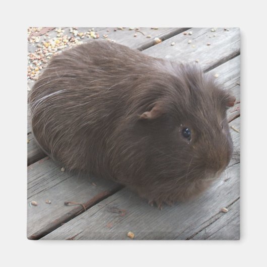 GPマグネット マグネット (正面)