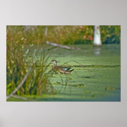 gp0003 ポスター (正面)