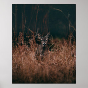 GRに囲まれた灰色の鹿の野生動物写真 ポスター