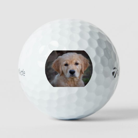 gr pup 2 ゴルフボール (正面)