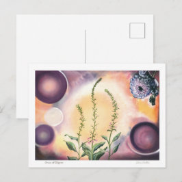 Grace of Filigree - Postkarte ポストカード